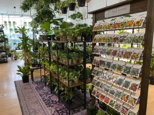 Alice's Garden