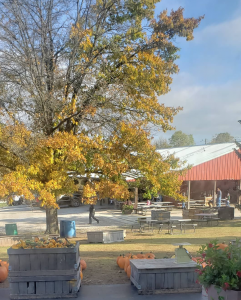 Anderson Orchard