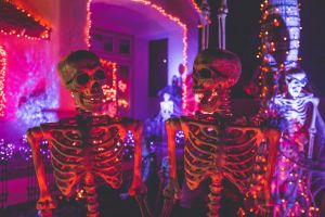 skeletons for Halloween celbration