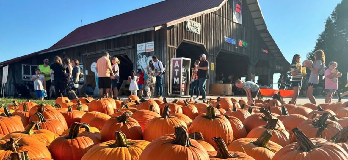 Pumpkin Patch