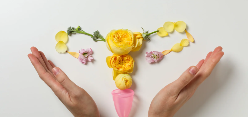 hands cupping flowers organized to look like a uterus