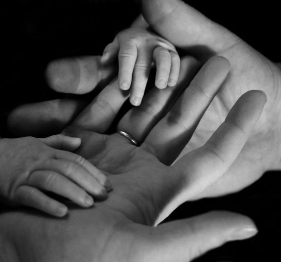 a mother's hands holder her baby's hands