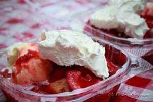 Strawberry Shortcake