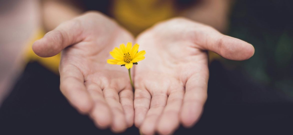 Flowers cupping a tiny yellow flower between them