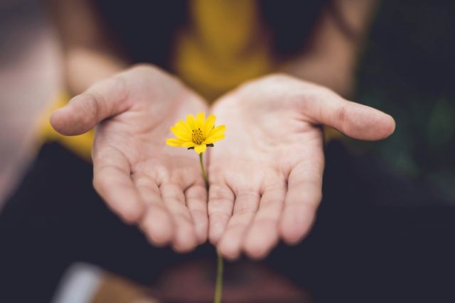 Flowers cupping a tiny yellow flower between them