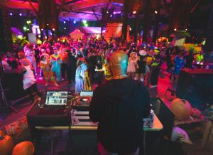 a dj playing to a crowd of people in costumes at Brewfari