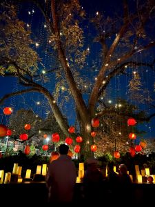 a lit up tree with glowing pumpkins at