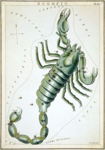 scorpio symbol of a scorpion drawn